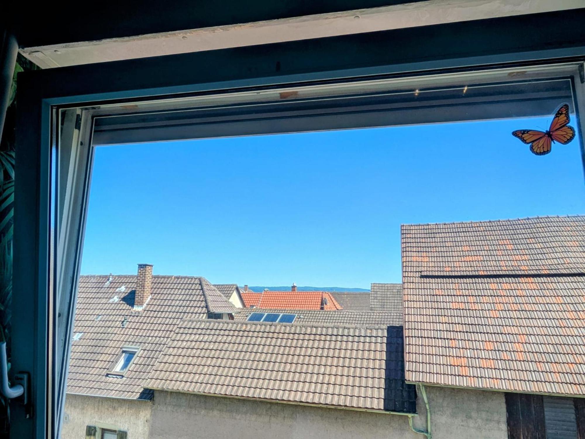 Appartamento Delfina Naehe Europa Park Rust Kappel-Grafenhausen Esterno foto